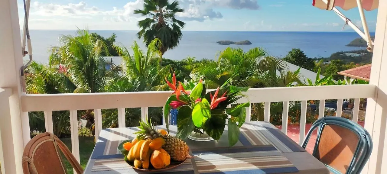 Blue Birds location vue mer des caraîbes Bouillante Appartement